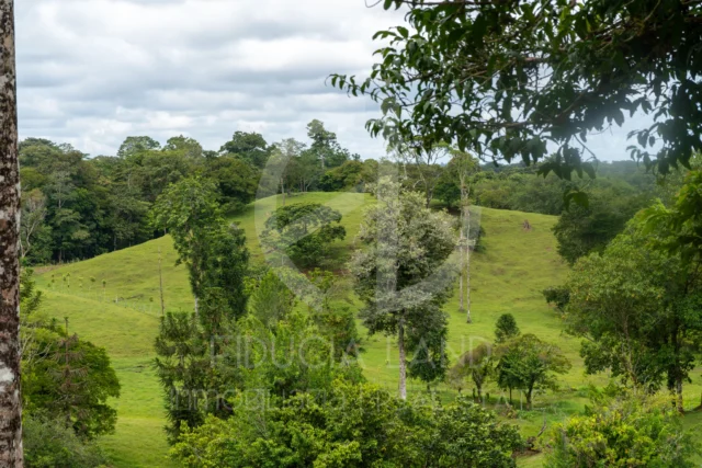 Venta de Finca de 30 Hectáreas en Pococí, Limón