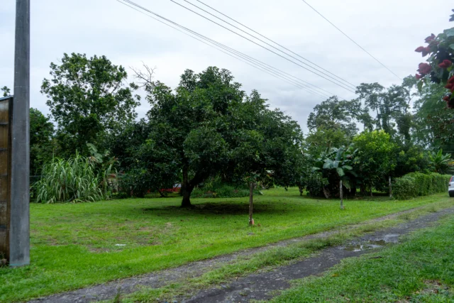 Venta de Lotes en Guácimo, Limón
