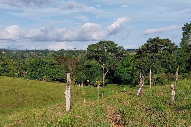 Venta de Propiedad en Pérez Zeledón, Costa Rica | Property for Sale in Pérez Zeledón, Costa Rica